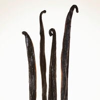 BURBERRY GODDESS INTENSE  100ml-223860 BURBERRY GODDESS INTENSE  100ml-223860 4